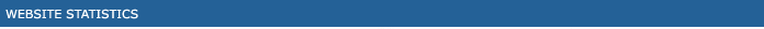Website Statistics